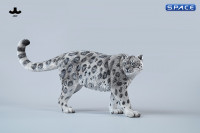 1/6 Scale Snow Leopard