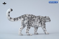1/6 Scale Snow Leopard