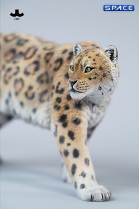 1/6 Scale Leopard