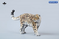 1/6 Scale Leopard