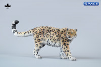 1/6 Scale Leopard
