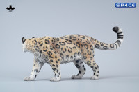 1/6 Scale Leopard