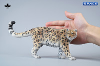 1/6 Scale Leopard