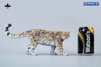 1/6 Scale Leopard