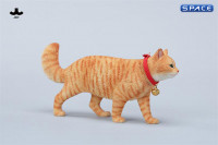 1/6 Scale chinese Rural Cat Version B