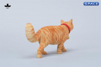 1/6 Scale chinese Rural Cat Version B