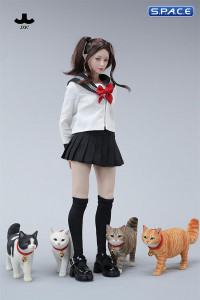 1/6 Scale chinese Rural Cat Version D
