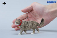 1/6 Scale chinese Rural Cat Version D