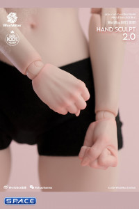 1/6 Scale Hand Set AT209A - pale Version