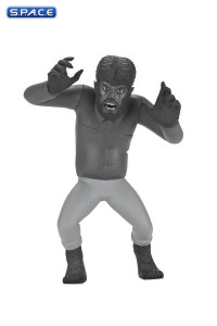 Complete Set of 4: Toony Terrors Series 10 - Silver Screen Version (Universal Monsters)