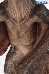 1/5 Scale Pteranodon Maquette (Jurassic Park III)