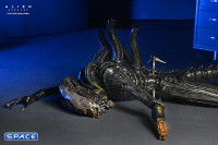 Deluxe Suspended Lab Xenomorph XX121 (Alien: Romulus)