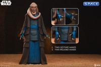 1/6 Scale Bib Fortuna Scum & Villainy (Star Wars)