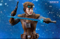 Starkiller Hero Concept Bust (Star Wars)