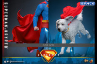 1/6 Scale Superman & Krypto Movie Masterpiece Set MMS812 (Superman)