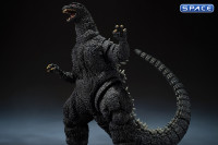 S.H.MonsterArts Godzilla Movie Graphic Plus (Godzilla vs. Biollante)