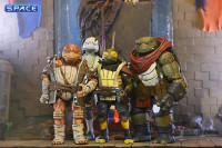 Ultimate Yi (Teenage Mutant Ninja Turtles: The Last Ronin II - Re-Evolution)
