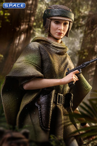 1/10 Scale Leia & Wicket Art Scale Statue (Star Wars)