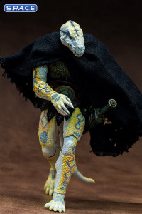 Shield of DZaera (Savage Crucible)