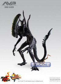 1/6 Scale Grid Alien Model Kit (Alien vs. Predator)