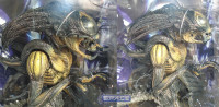 Set of 2: Alien Warrior & PredAlien Hybrid (Alien vs. Predator Requiem Series 1)
