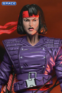 Karai Mercenary (Teenage Mutant Ninja Turtles)
