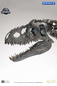 1/12 Scale Indominus Rex Skeleton Bronze Statue (Jurassic World)