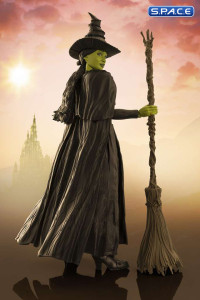S.H.Figuarts Elphaba (Wicked)