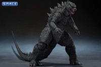 S.H.MonsterArts Godzilla 2014 Movie Graphic Plus (Godzilla)