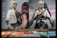 1/6 Scale Dek & Thia Movie Masterpiece Set MMS850 (Predator: Badlands)