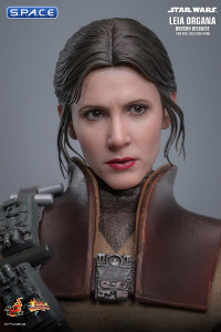 1/6 Scale Leia Organa Boushh Disguise Movie Masterpiece MMS854 (Star Wars)