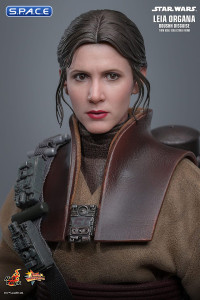 1/6 Scale Leia Organa Boushh Disguise Movie Masterpiece MMS854 (Star Wars)