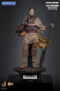 1/6 Scale Leia Organa Boushh Disguise Movie Masterpiece MMS854 (Star Wars)