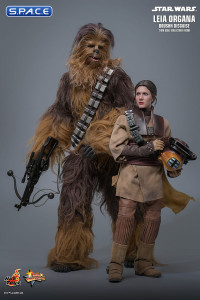 1/6 Scale Leia Organa Boushh Disguise Movie Masterpiece MMS854 (Star Wars)