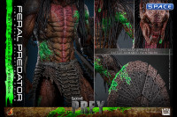 1/6 Scale Feral Predator Battle Damaged Version TV Masterpiece TMS173 (Prey)