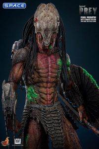 1/6 Scale Feral Predator Battle Damaged Version TV Masterpiece TMS173 (Prey)
