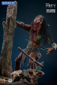 1/6 Scale Feral Predator Battle Damaged Version TV Masterpiece TMS173 (Prey)
