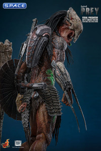 1/6 Scale Feral Predator Battle Damaged Version TV Masterpiece TMS173 (Prey)