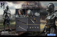 1/6 Scale Silver Temple Guardian