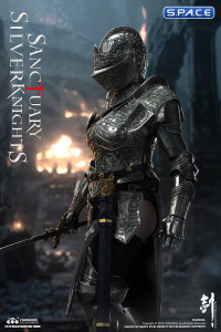 1/6 Scale Silver Temple Guardian