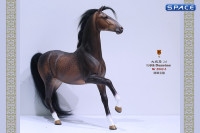 1/6 Scale Duweime Horse 2.0 Version 5