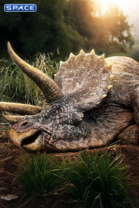 1/8 Scale Sick Triceratops Maquette (Jurassic Park)