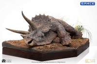 1/8 Scale Sick Triceratops Maquette (Jurassic Park)