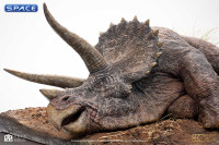 1/8 Scale Sick Triceratops Maquette (Jurassic Park)