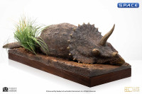 1/8 Scale Sick Triceratops Maquette (Jurassic Park)