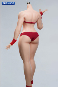 1/6 Scale Seamless Female pale Body BD01 - small breast size