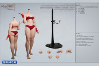 1/6 Scale Seamless Female pale Body BF01 - small breast size