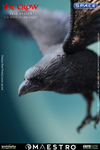 1/6 Scale Eric Draven Maestro Line (The Crow)