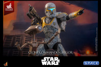 1/6 Scale Clone Commander Gregor TV Masterpiece TMS155 (Star Wars - The Clone Wars)