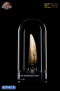 1:1 Spinosaurus Tooth Life-Size Replica (Jurassic Park III)